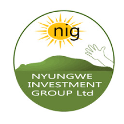 Nyungwe Investment Group (N.I.G) Ltd Logo