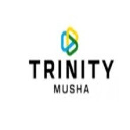  Trinity Musha Mines Ltd Logo